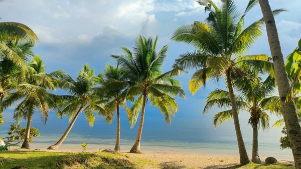 Trimaran : l'élégance et la vitesse sur les flots