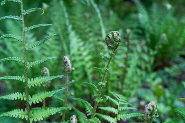 Où loger pour une expérience de vie dans une ferme pédagogique biologique en Ardèche?