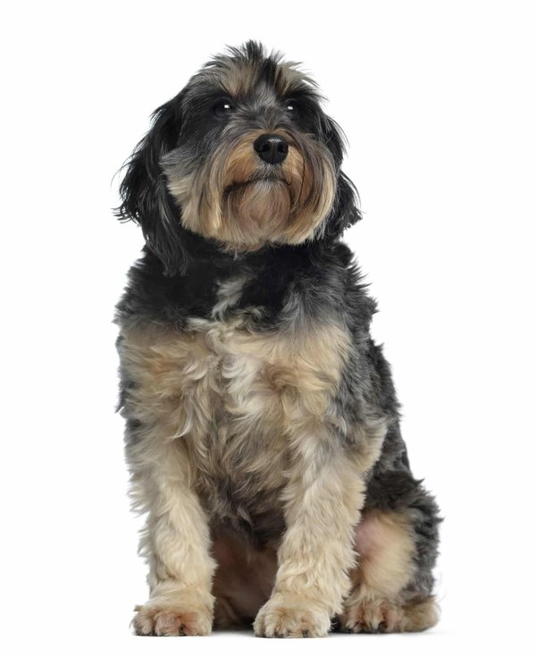 Comment choisir une maison de vacances en Gascogne avec dégustation d'Armagnac et visite de chais?